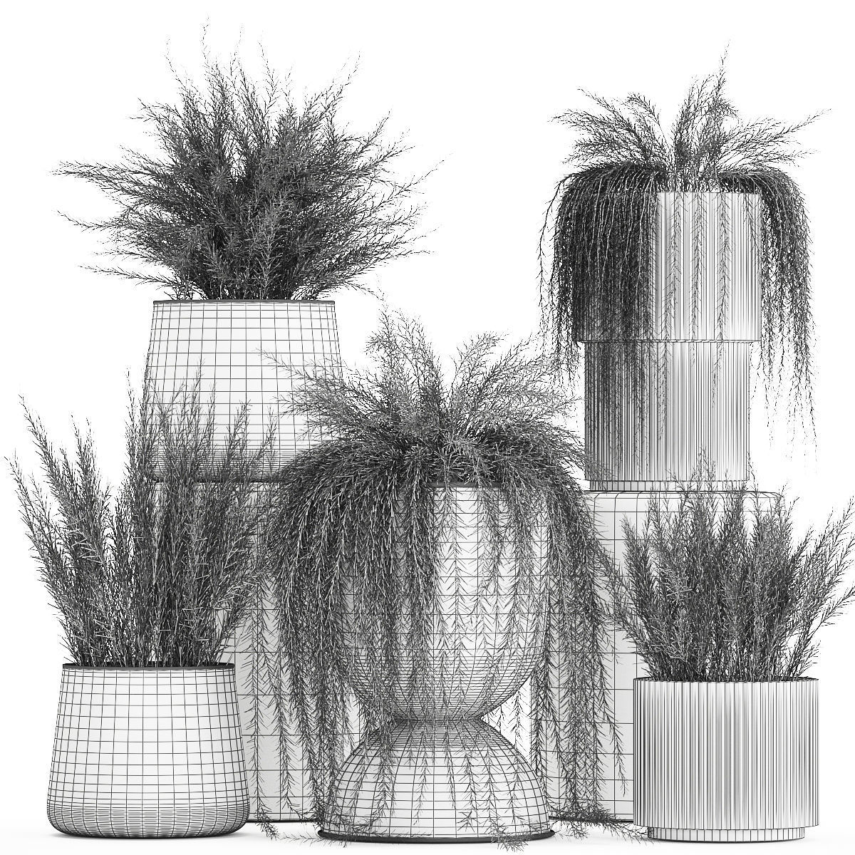 Beautiful bush plants Asparagus aethiopicus flowerpot 1311 3D model_11