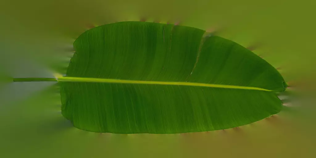 potted plan-2 Free 3D model