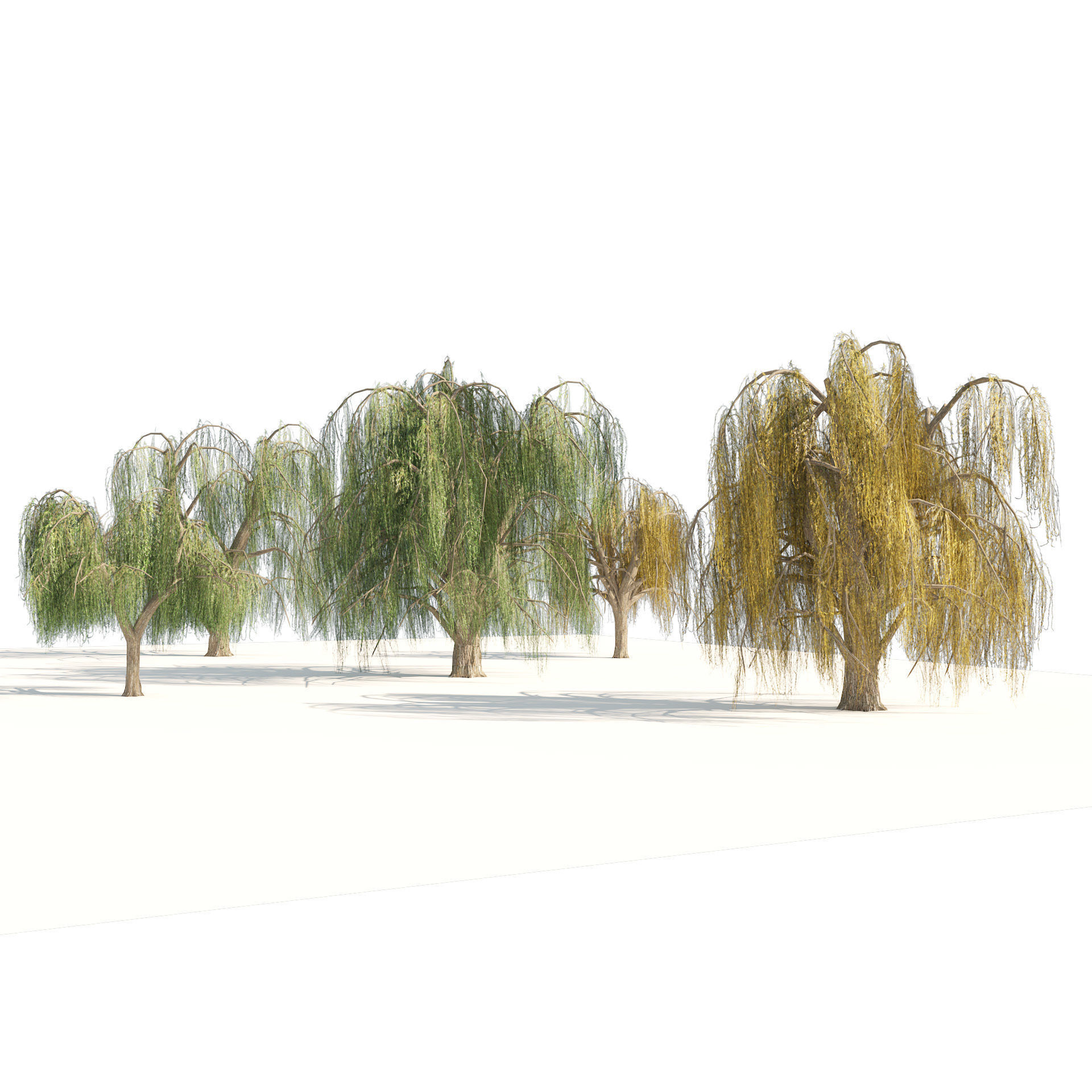 Summer and fall weeping willow trees Low-poly 3D model_5