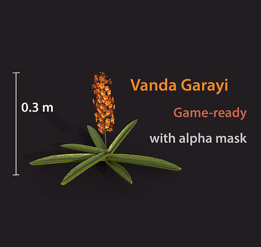 Vanda garayi flower Free low-poly 3D model
