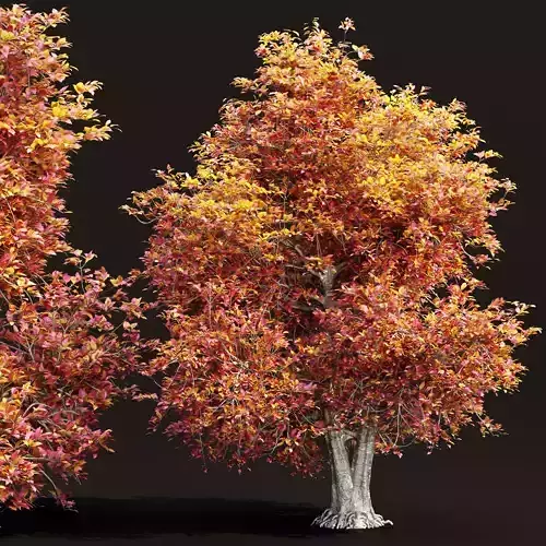 Natural tree for landscape vol 215 3D model