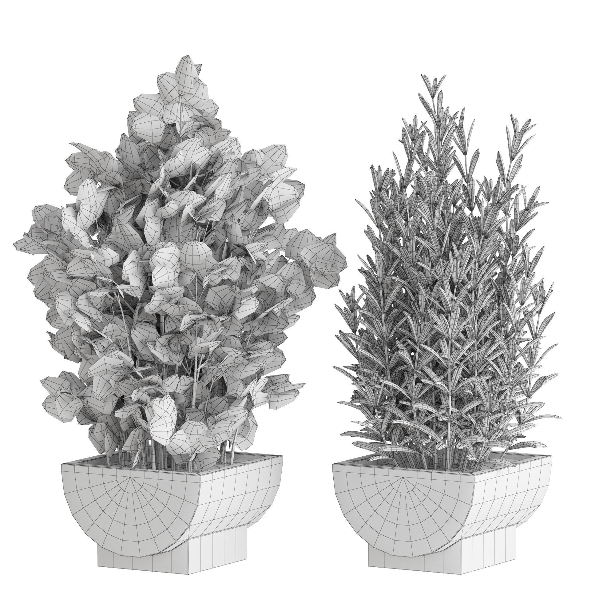 Plants collection 944 3D model_4