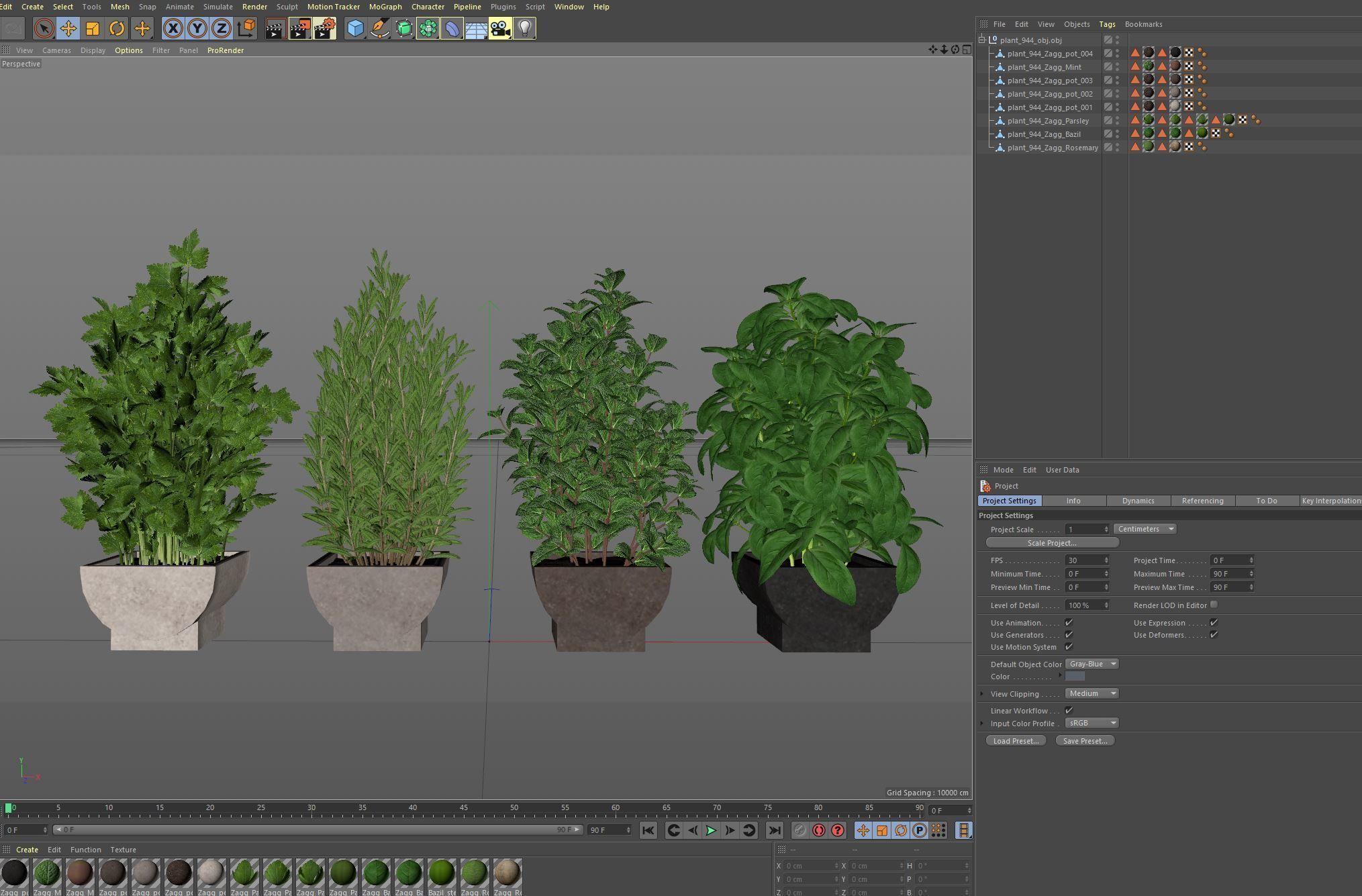 Plants collection 944 3D model_7