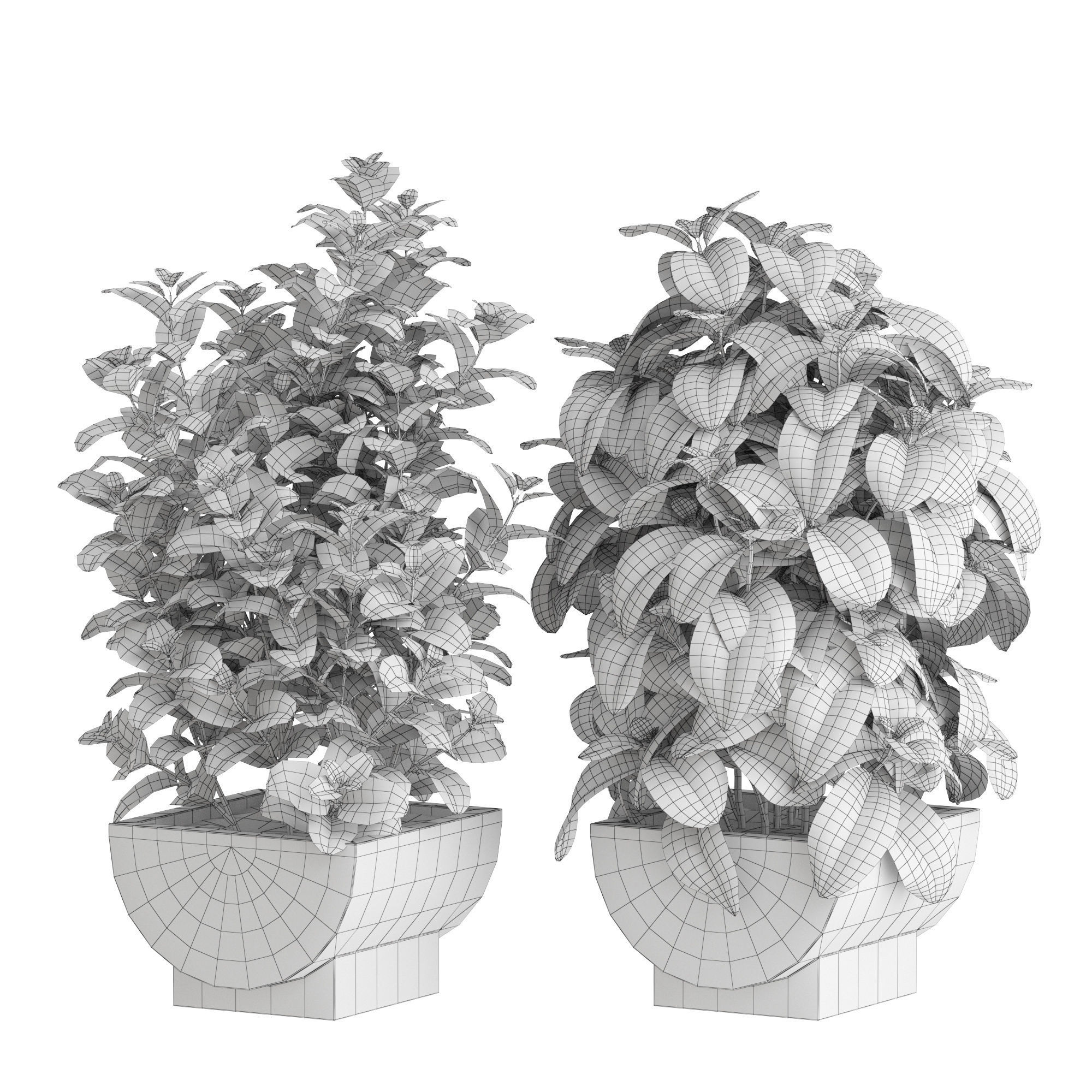 Plants collection 944 3D model_5