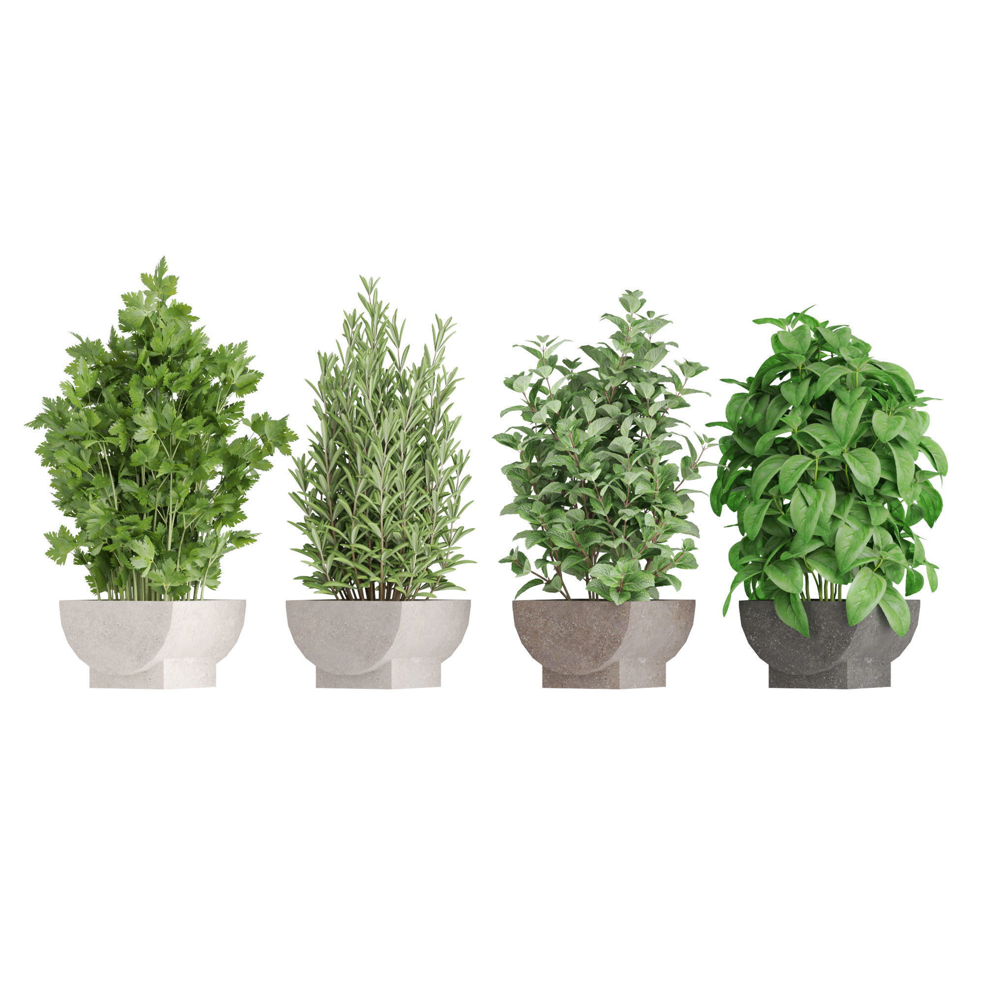 Plants collection 944 3D model_1
