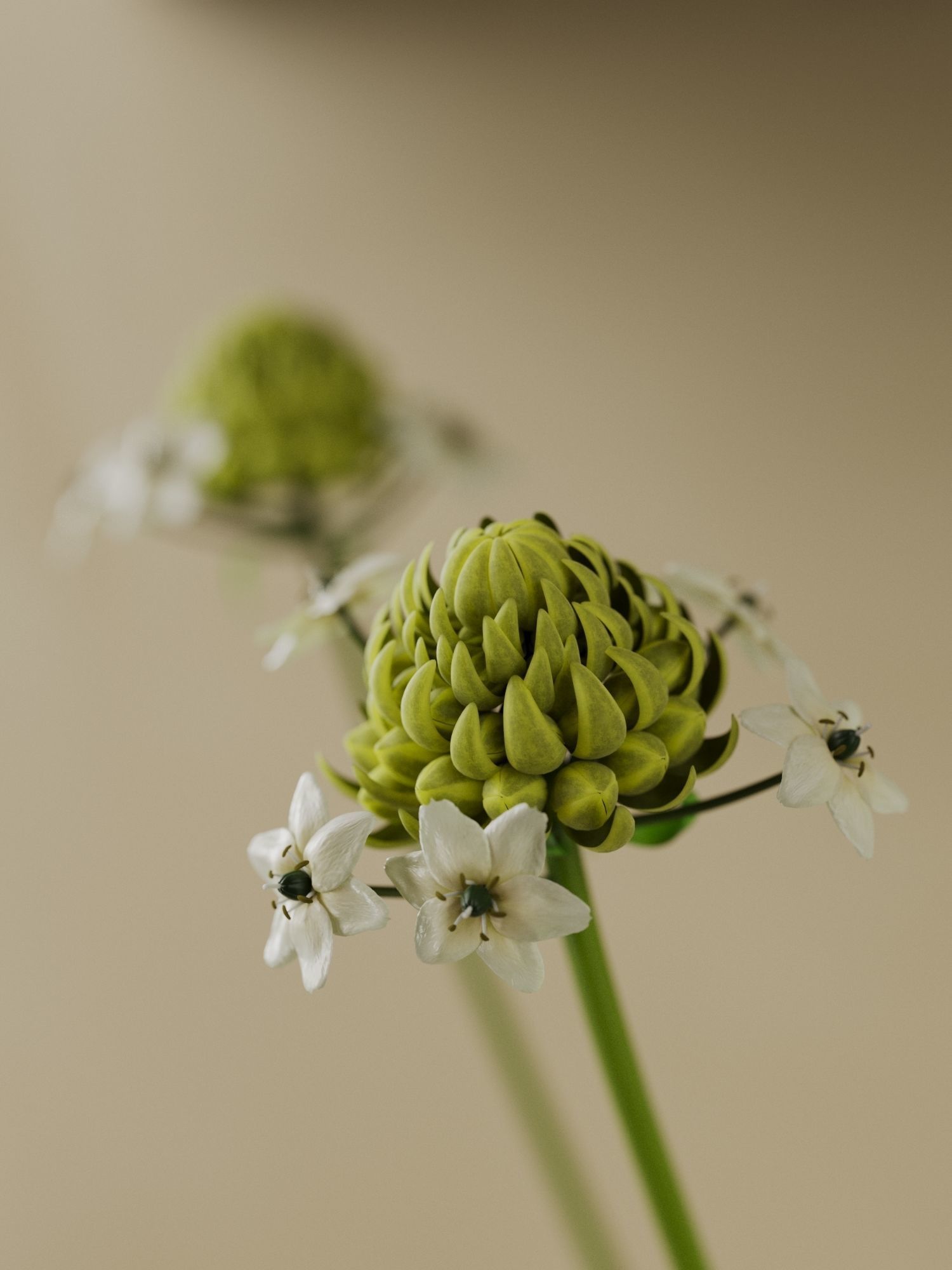 Vase Set 135 3D model_2