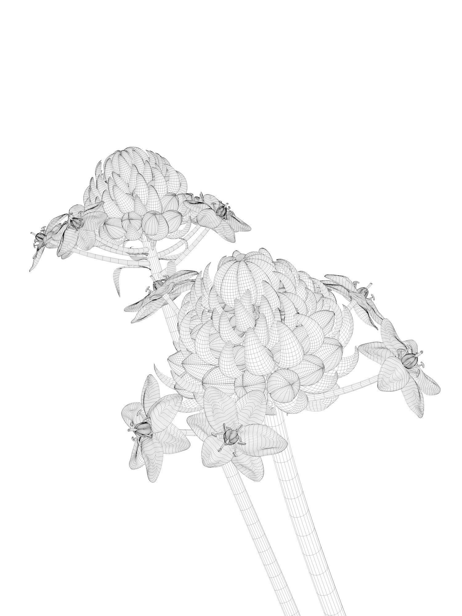 Vase Set 135 3D model_4