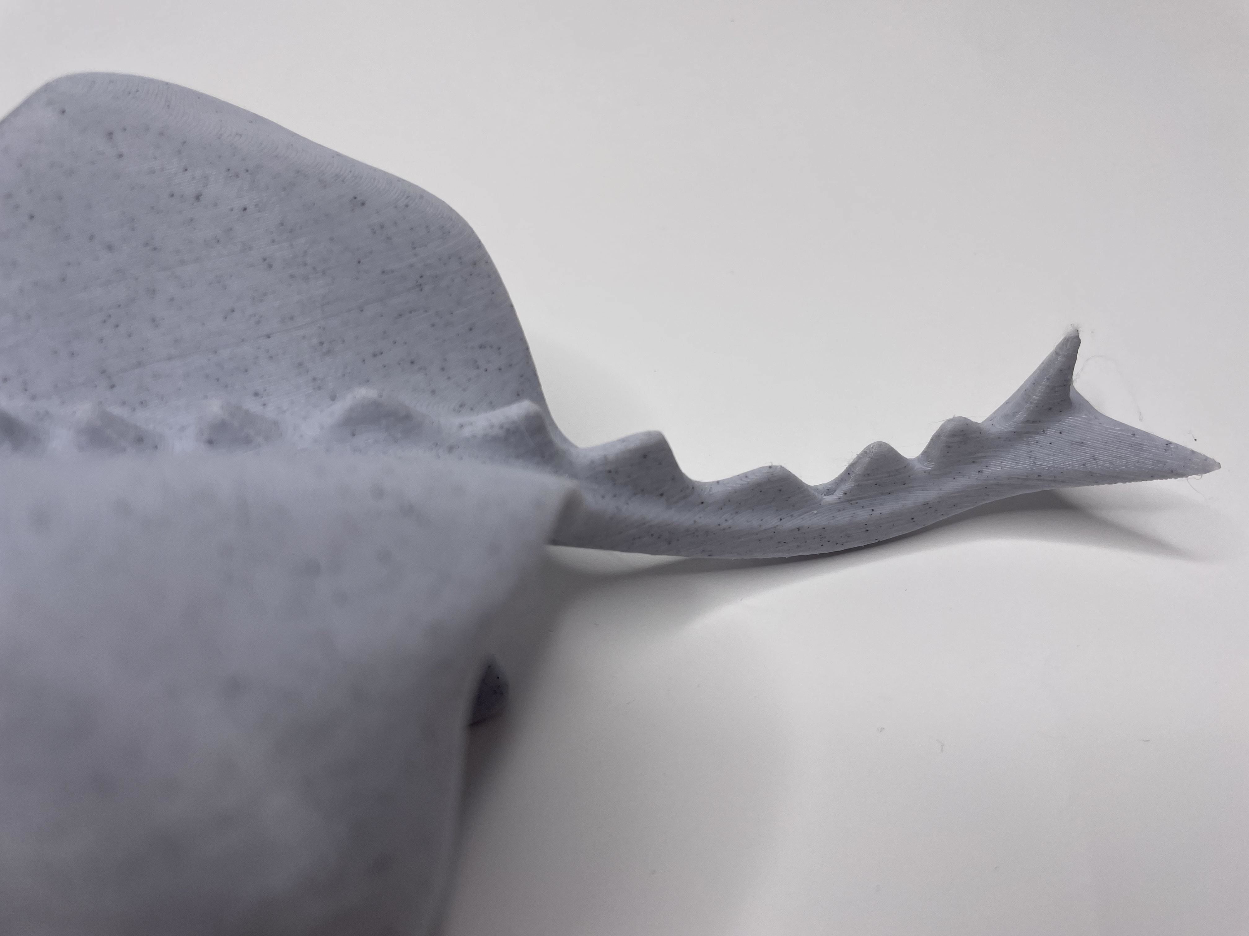 Low Poly Dragon Free low-poly 3D model_7