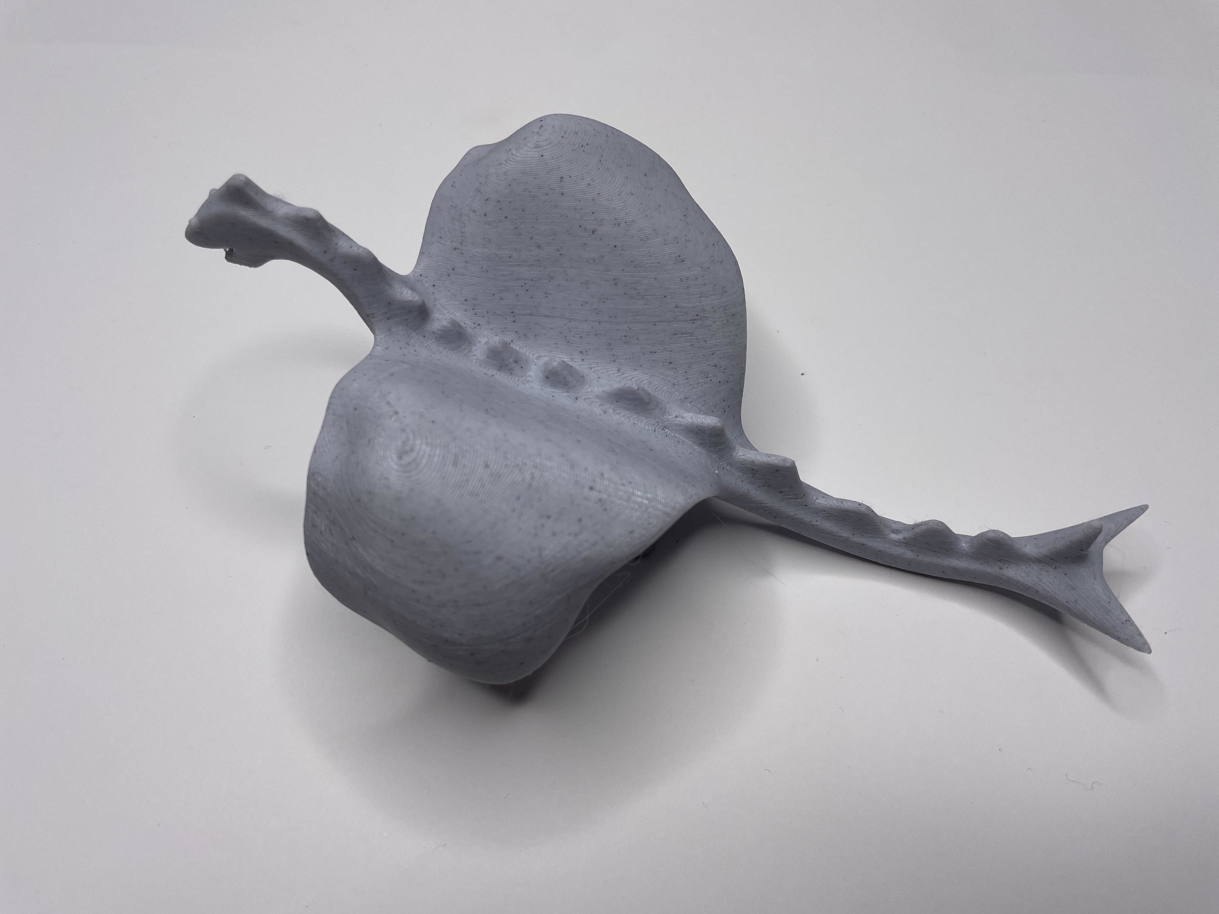 Low Poly Dragon Free low-poly 3D model_2