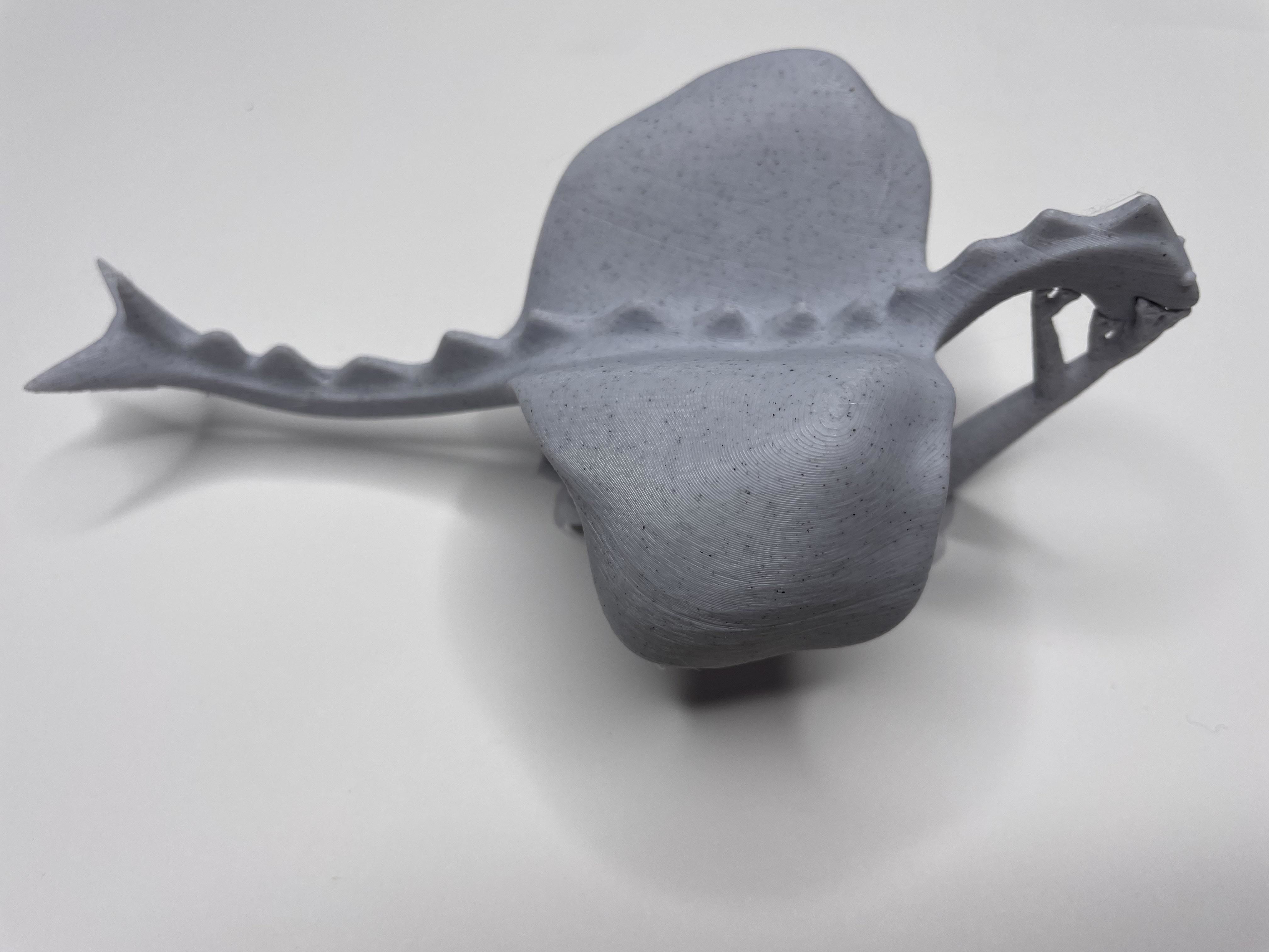 Low Poly Dragon Free low-poly 3D model_9