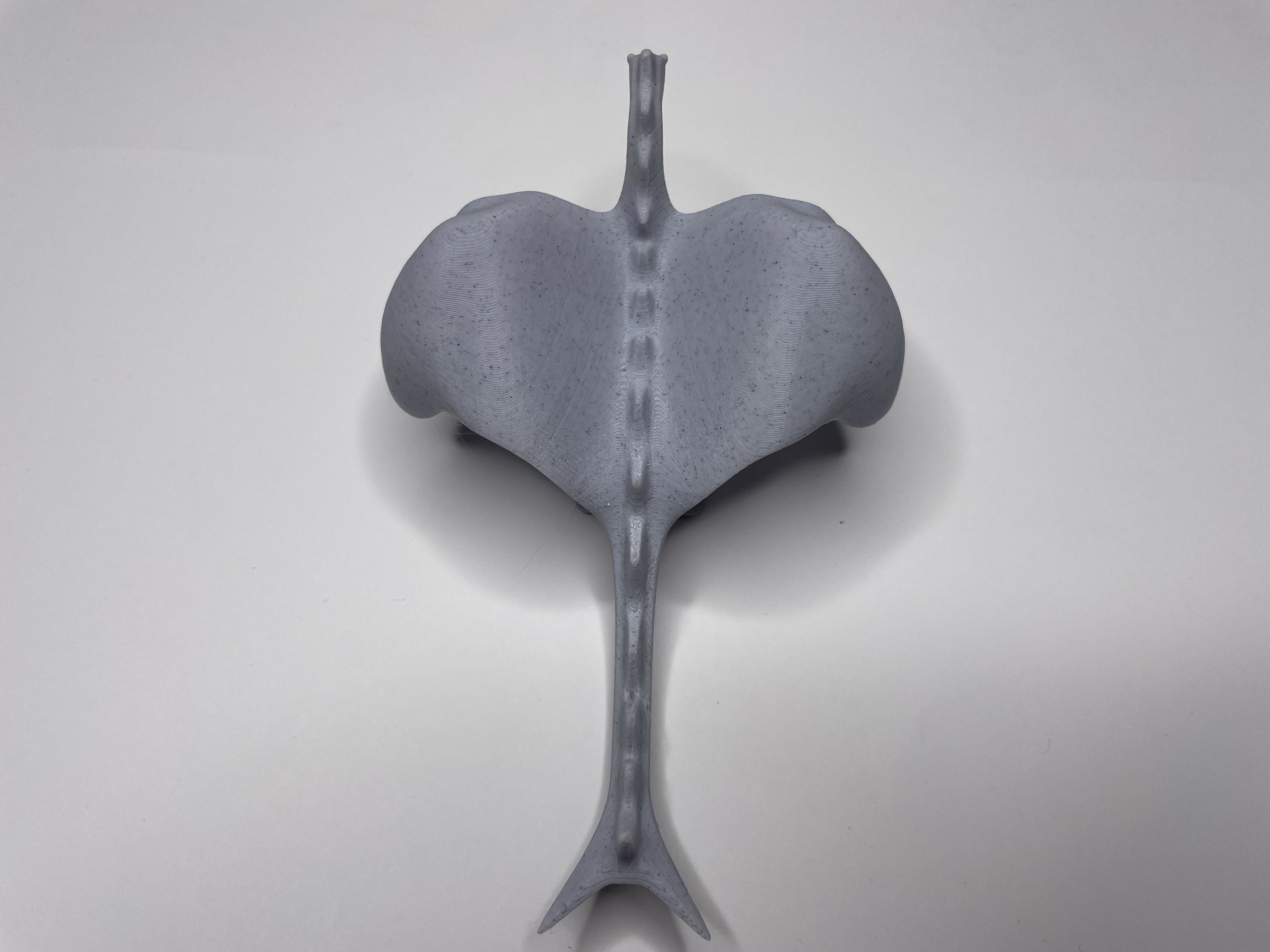 Low Poly Dragon Free low-poly 3D model_5