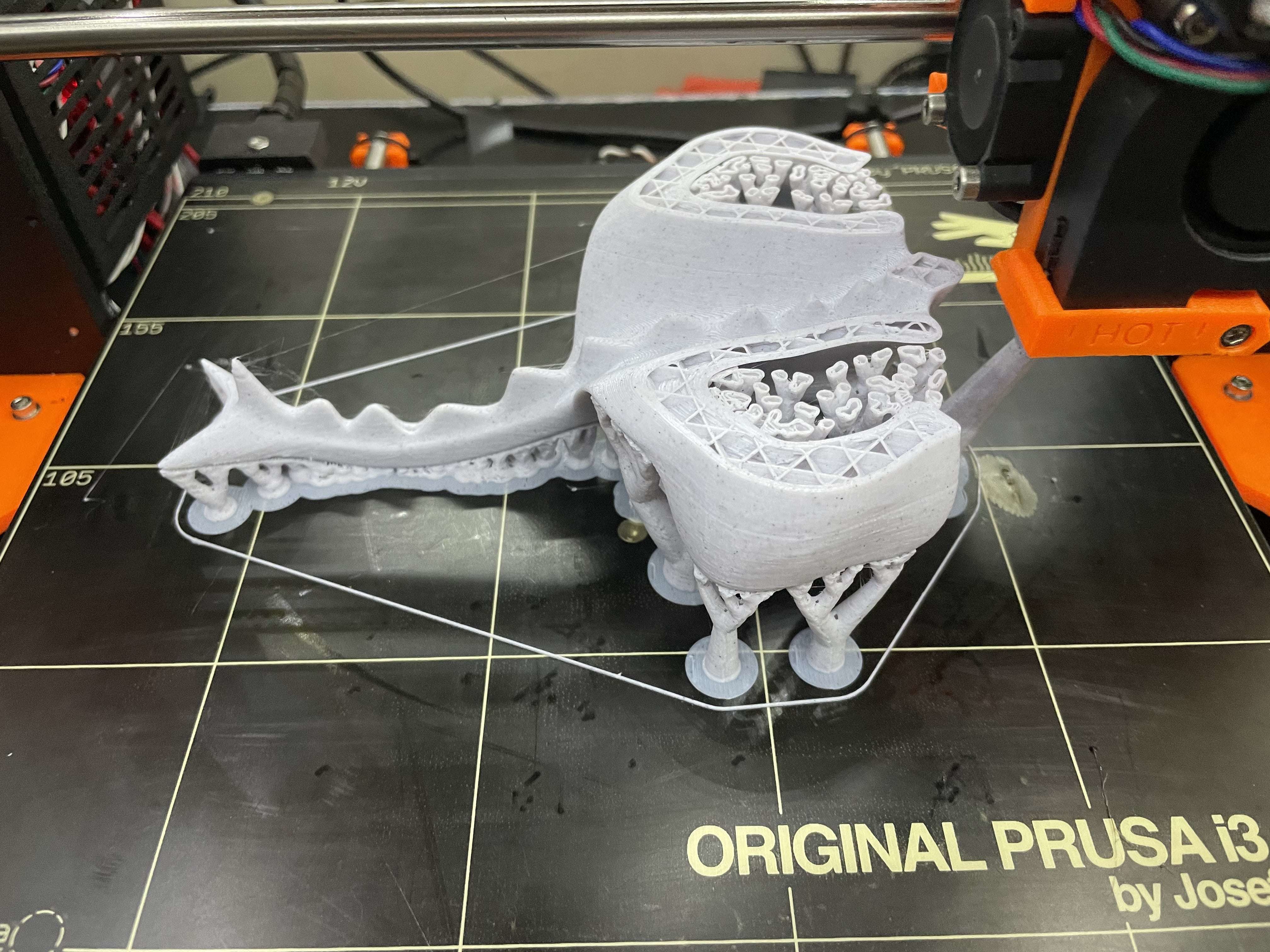 Low Poly Dragon Free low-poly 3D model_11