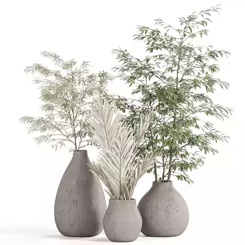 Plants collection 948 3D model