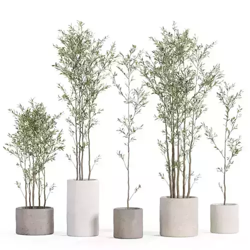 Plants collection 949 3D model