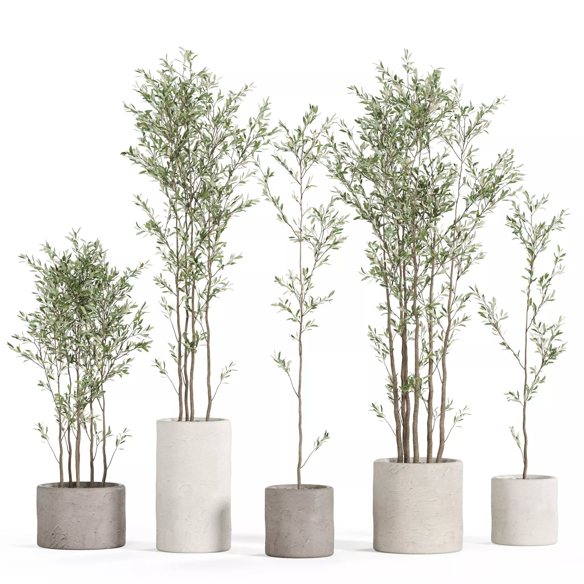 Plants collection 949 3D model