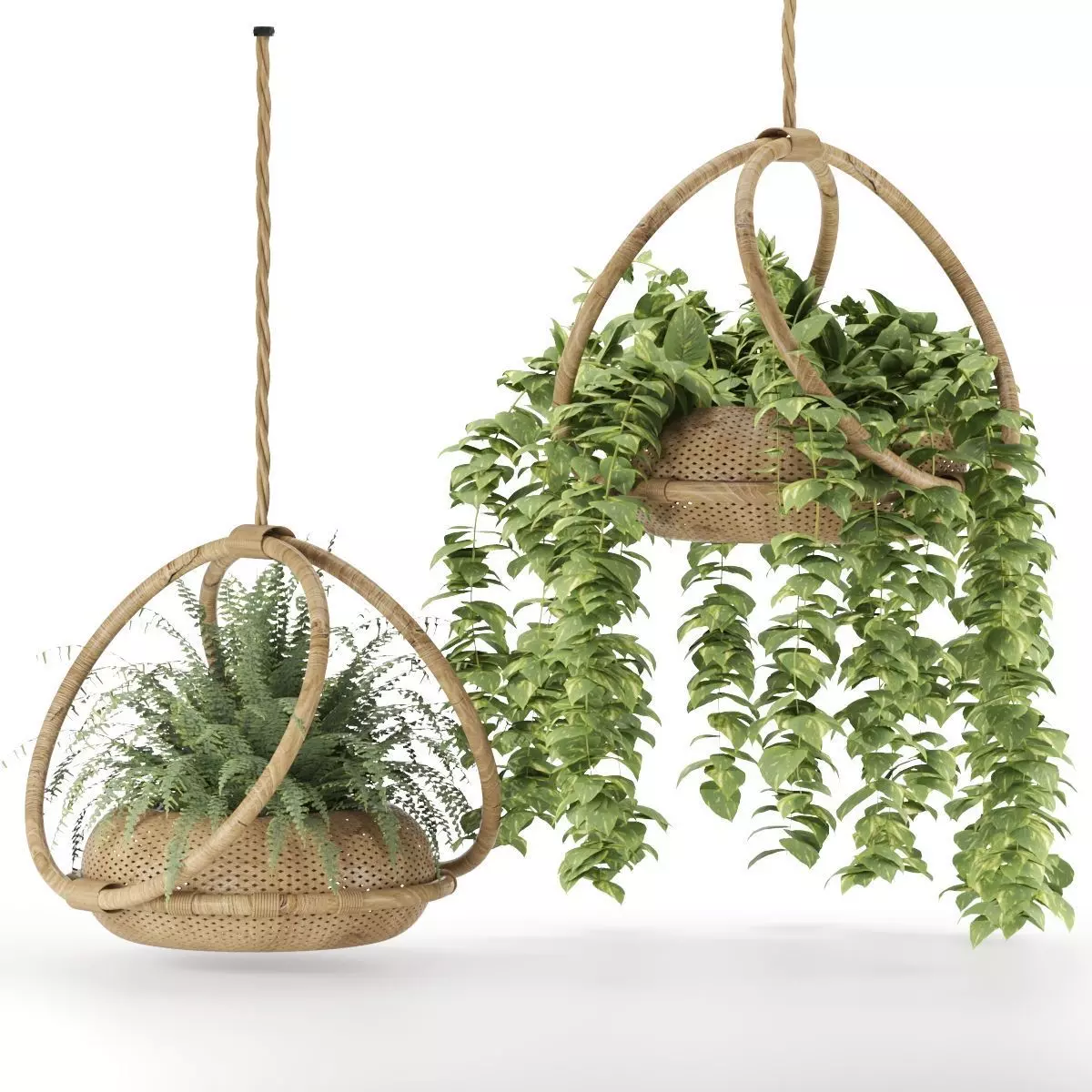 boho-hanging-plants 3D model_0