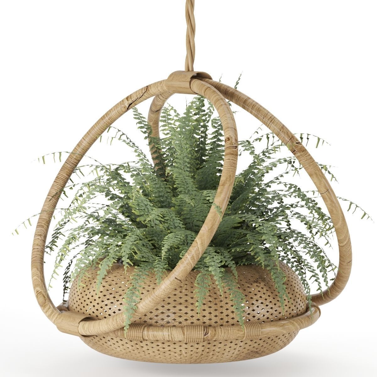 boho-hanging-plants 3D model_1