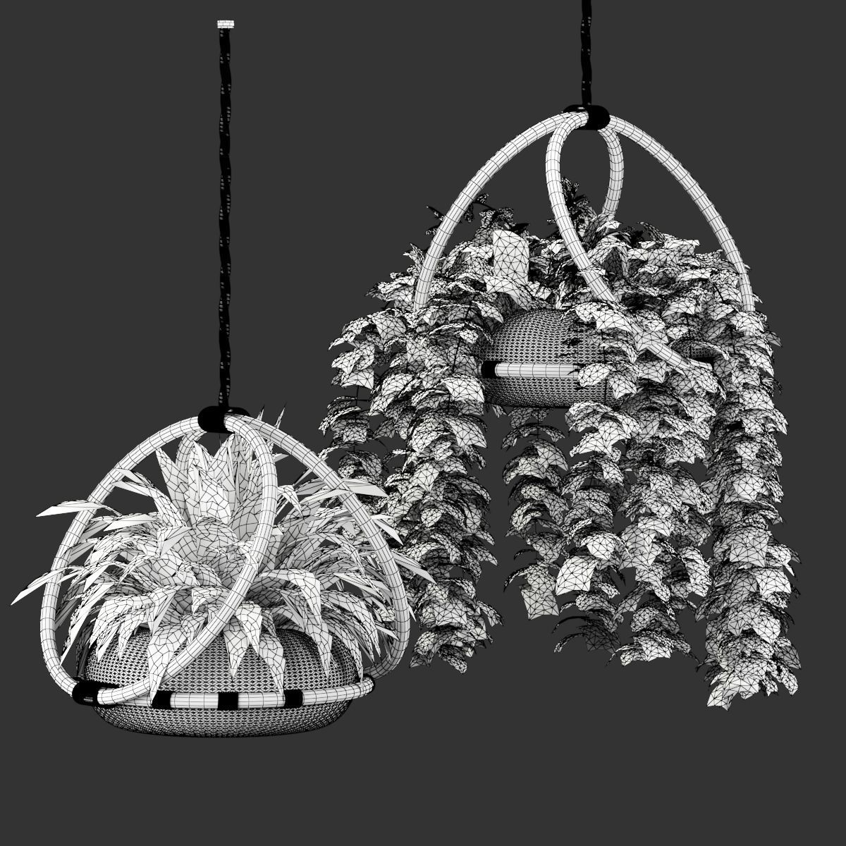boho-hanging-plants 3D model_3