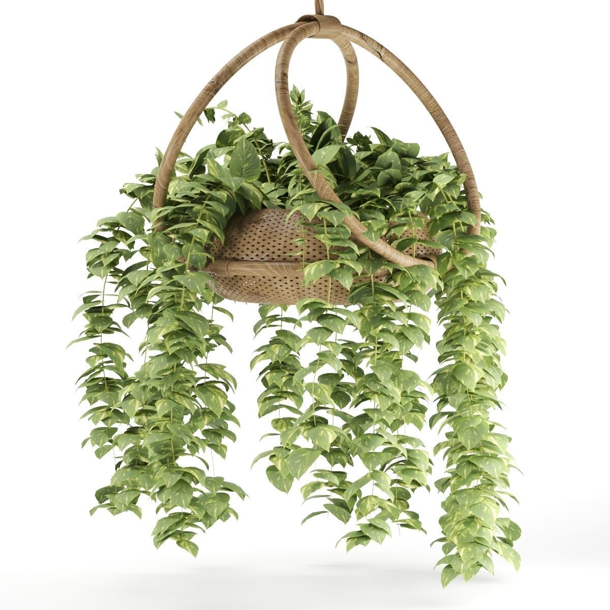 boho-hanging-plants 3D model_2