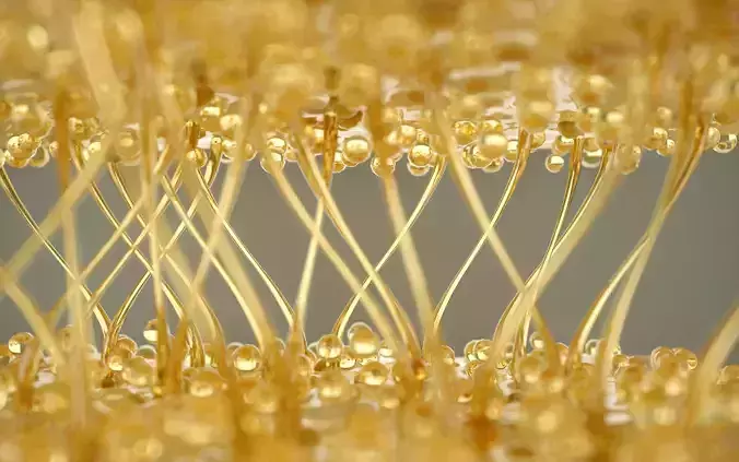 Collagen Animated 3D model