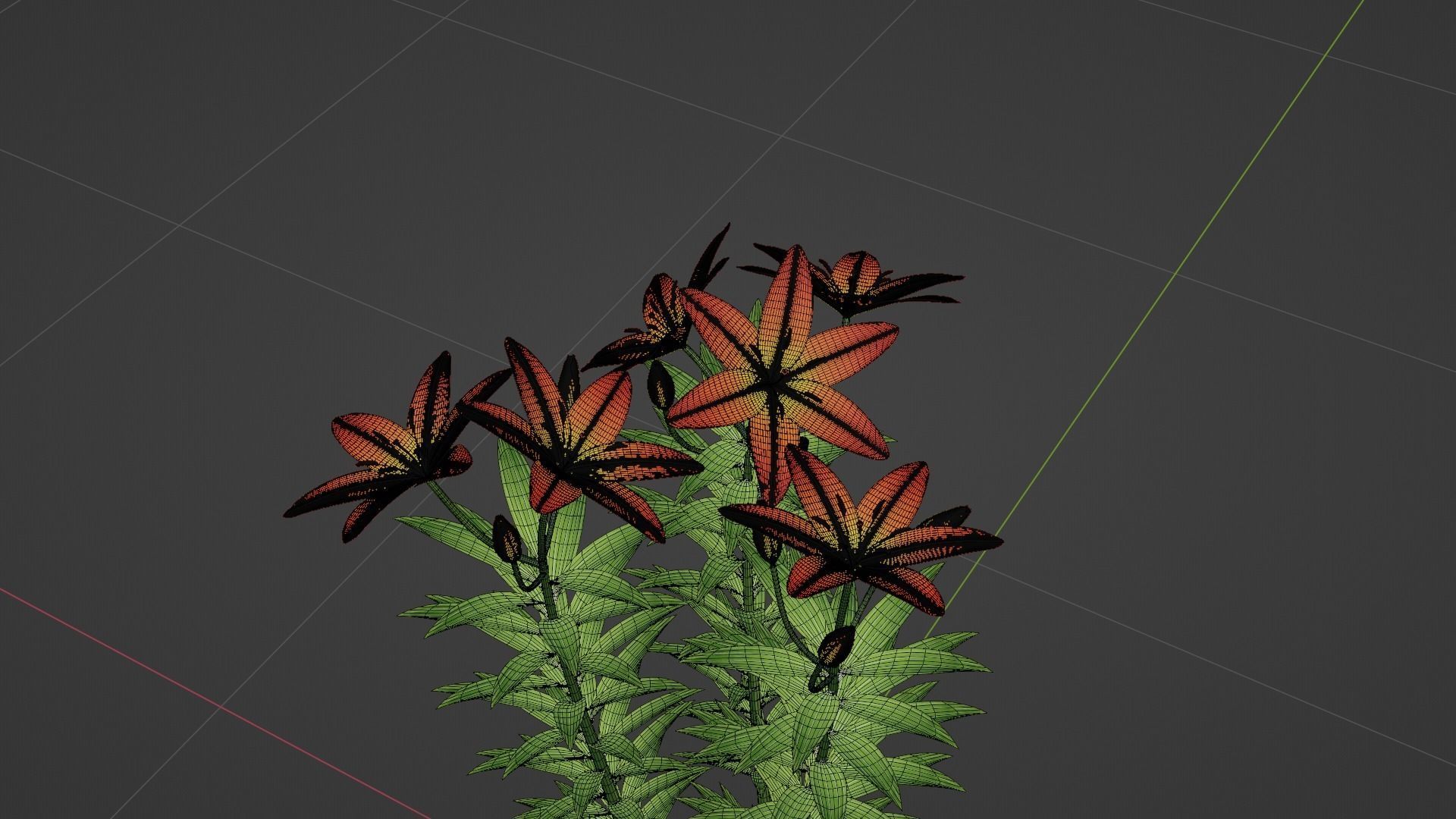 Lilium Lily Plant Low-poly 3D model_6