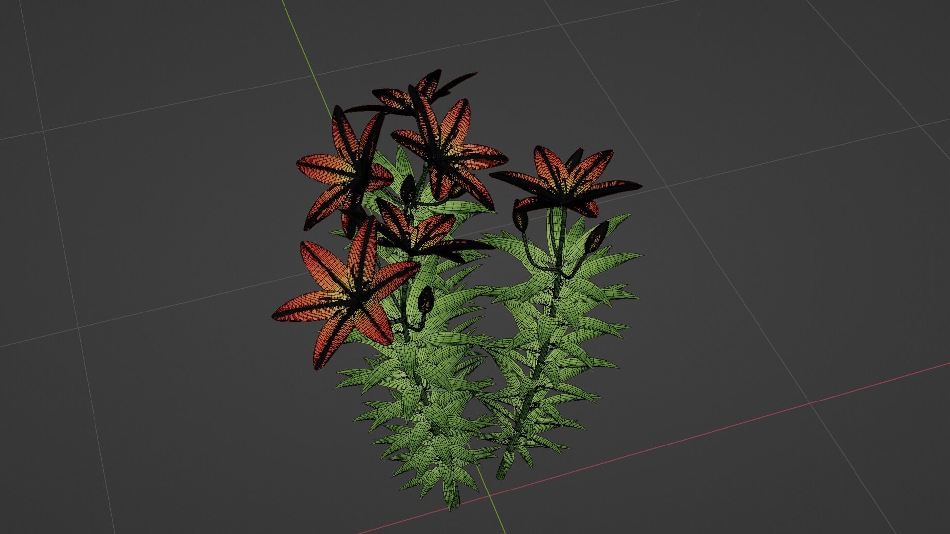 Lilium Lily Plant Low-poly 3D model_7