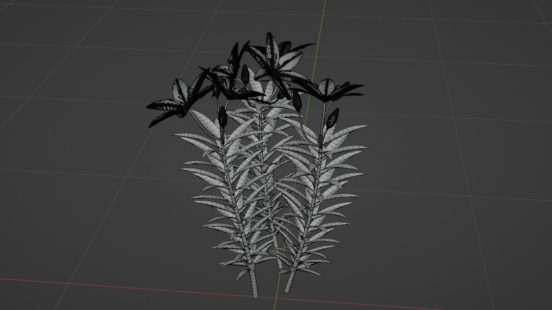 Lilium Lily Plant Low-poly 3D model_4