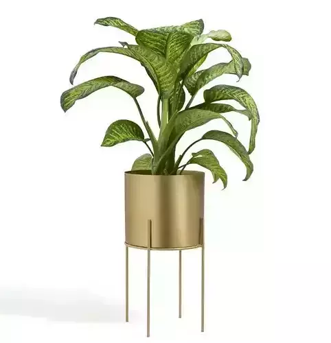 Flower Pot - 3D model