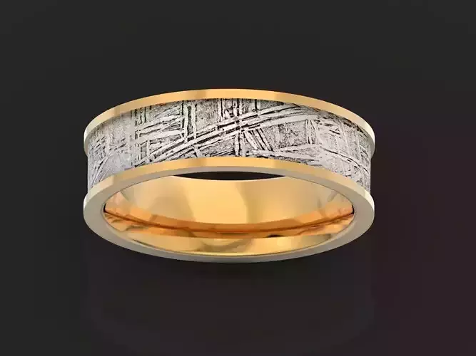 Meteorite Beveled Edge Wedding Ring  2769 3D print model