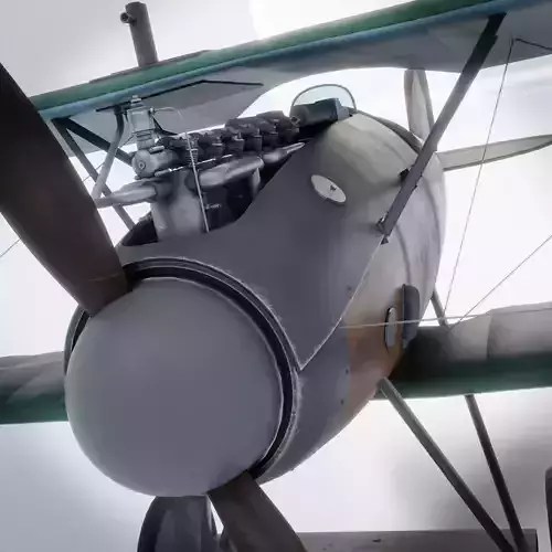 Albatros DV 3D model