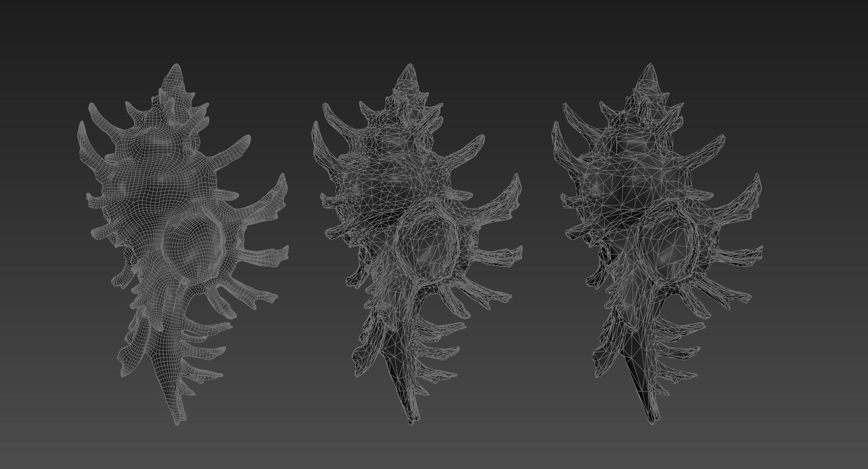 Chicoreus aculeatus Sea Shell Low-poly 3D model_8