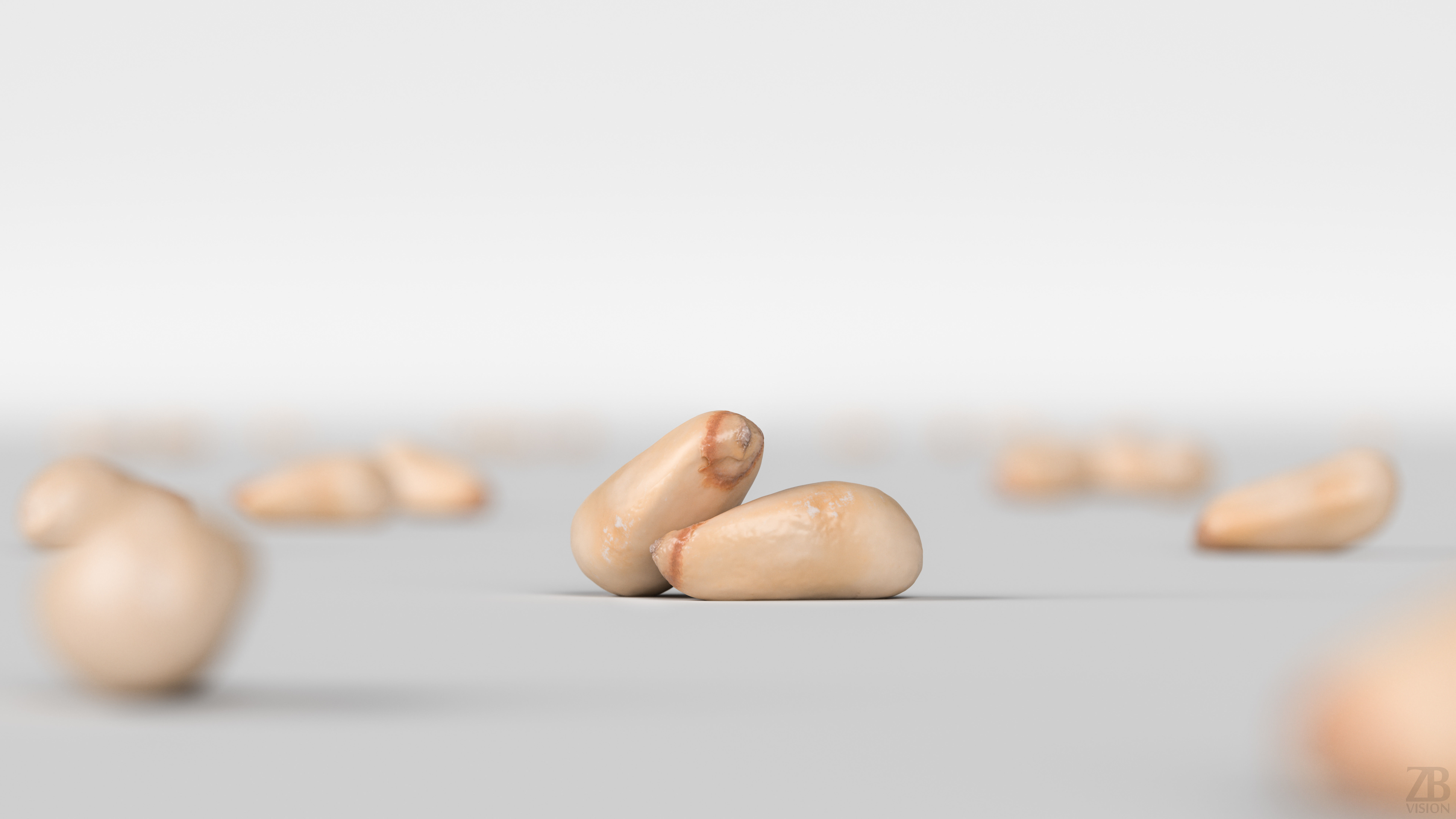 Pine Seed 3D model_1