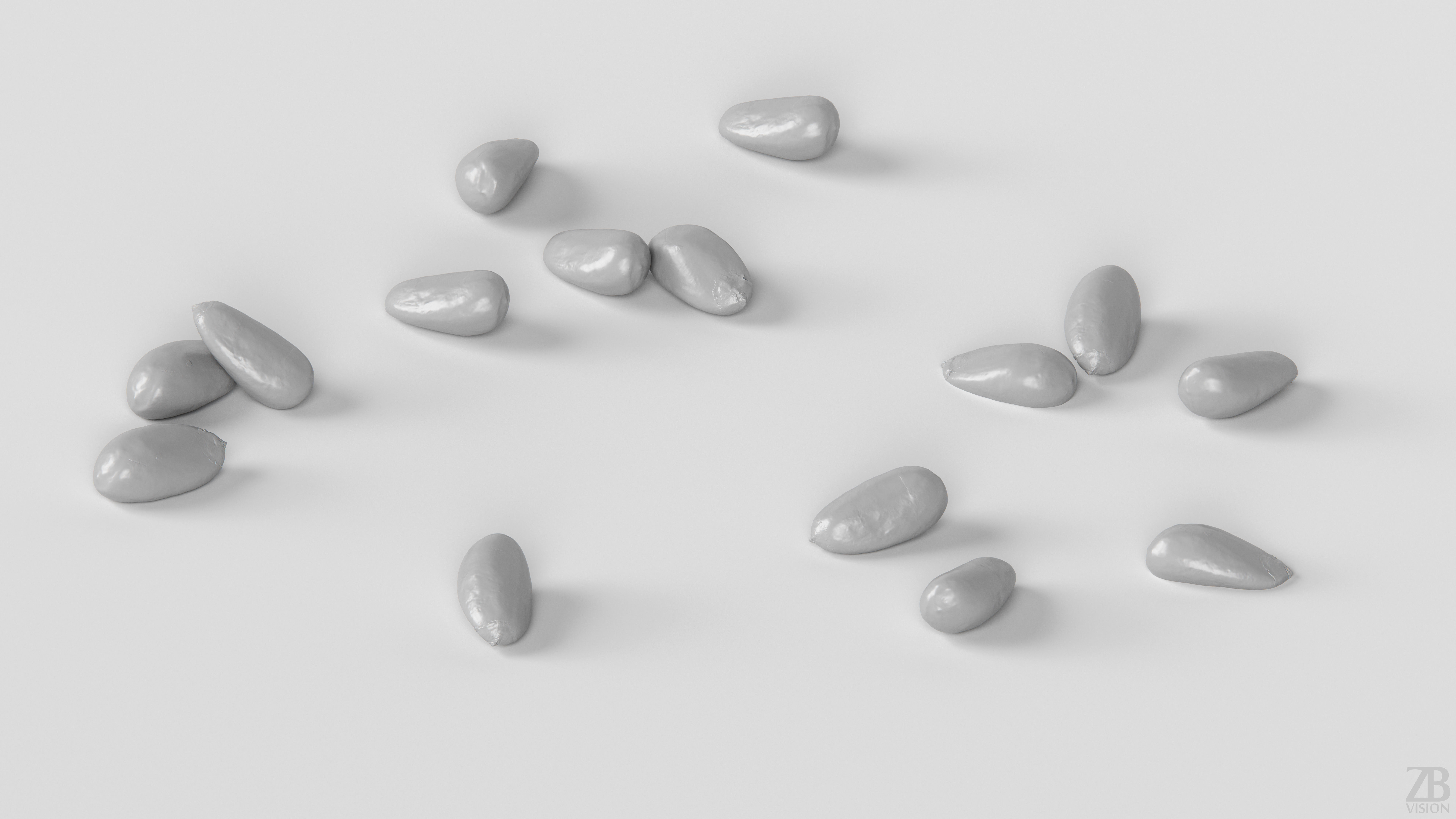 Pine Seed 3D model_3