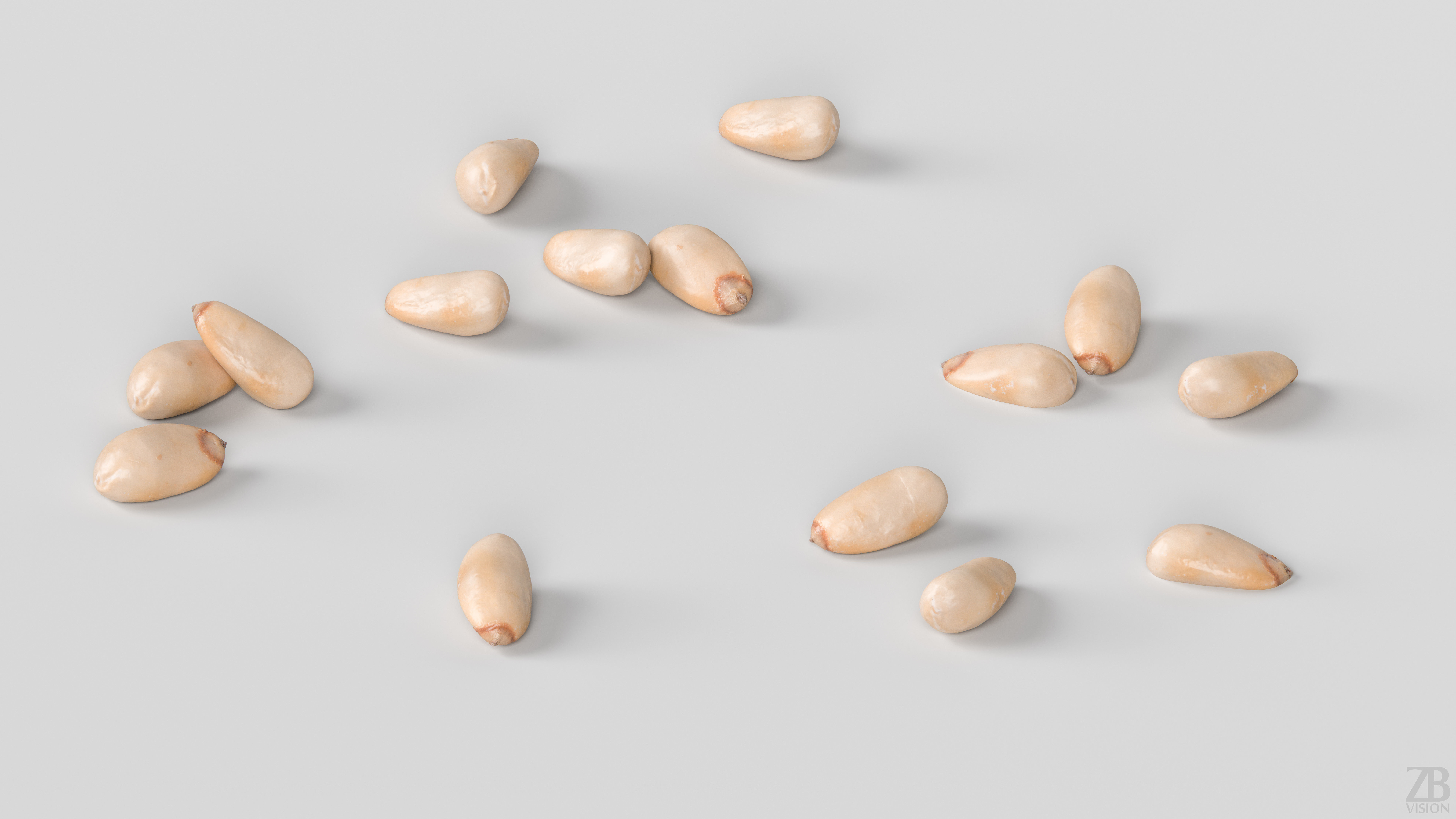 Pine Seed 3D model_2