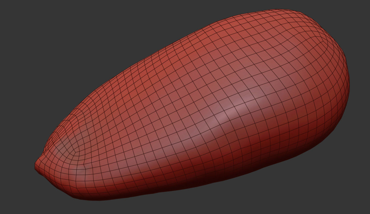 Pine Seed 3D model_6