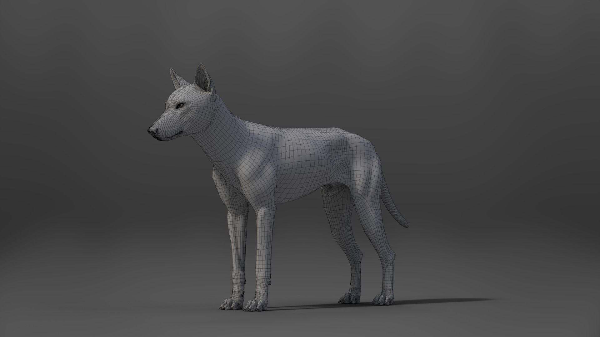 Wolf Animation VFX Grace 3D model_29