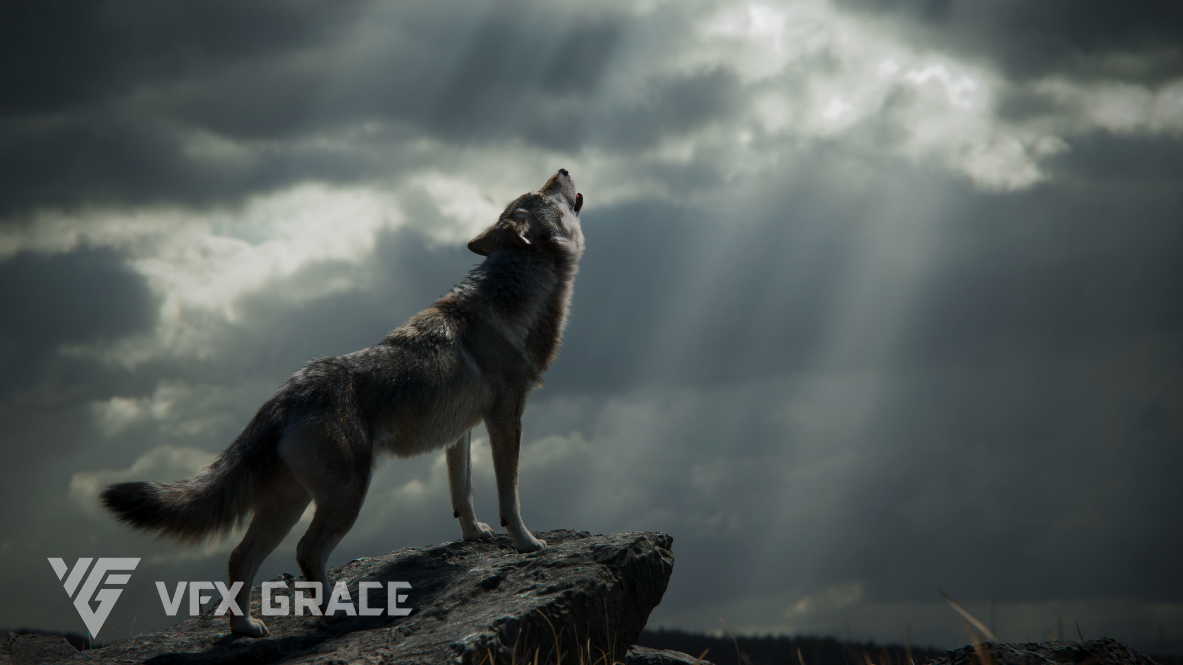 Wolf Animation VFX Grace 3D model_6