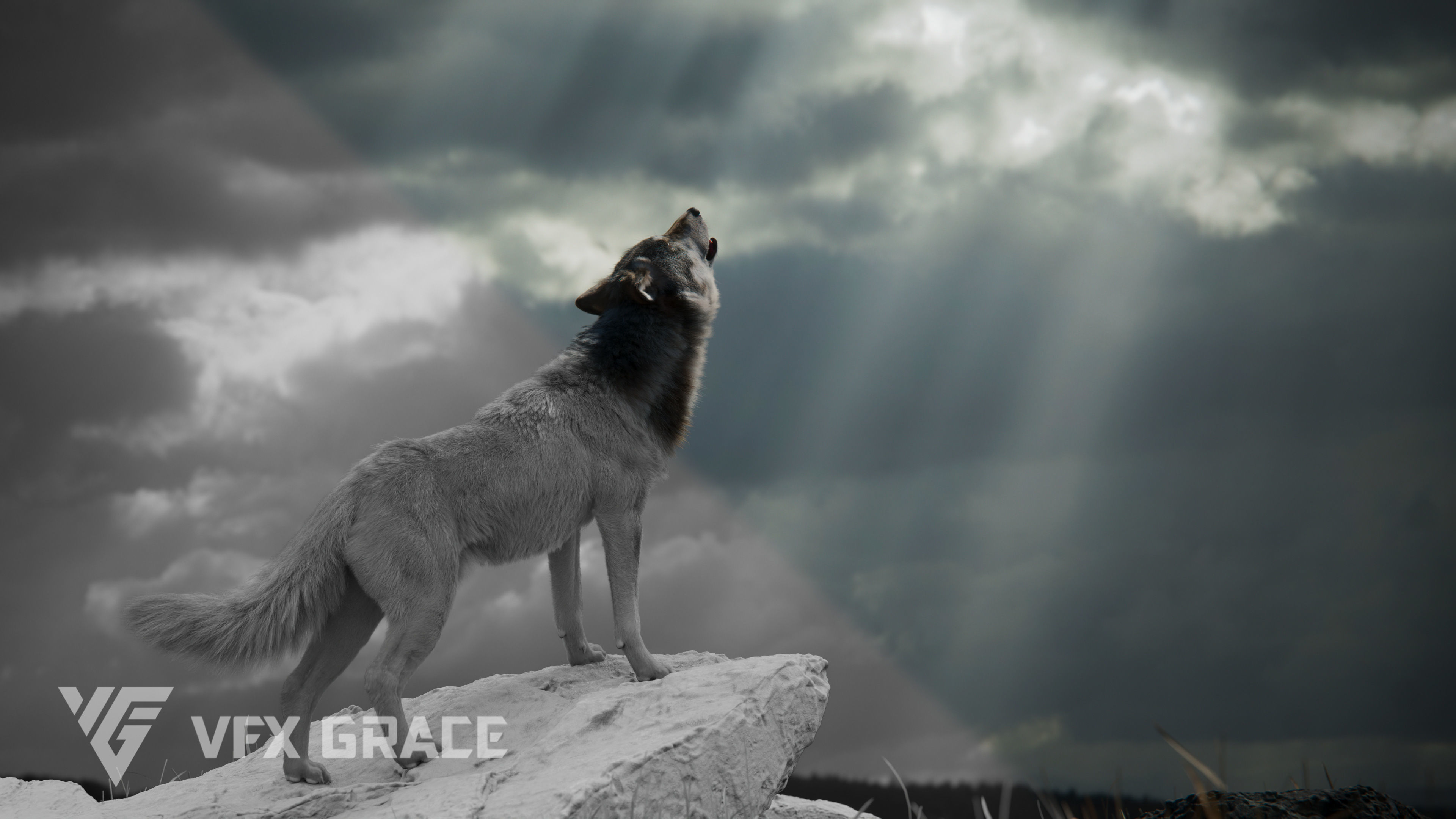 Wolf Animation VFX Grace 3D model_7