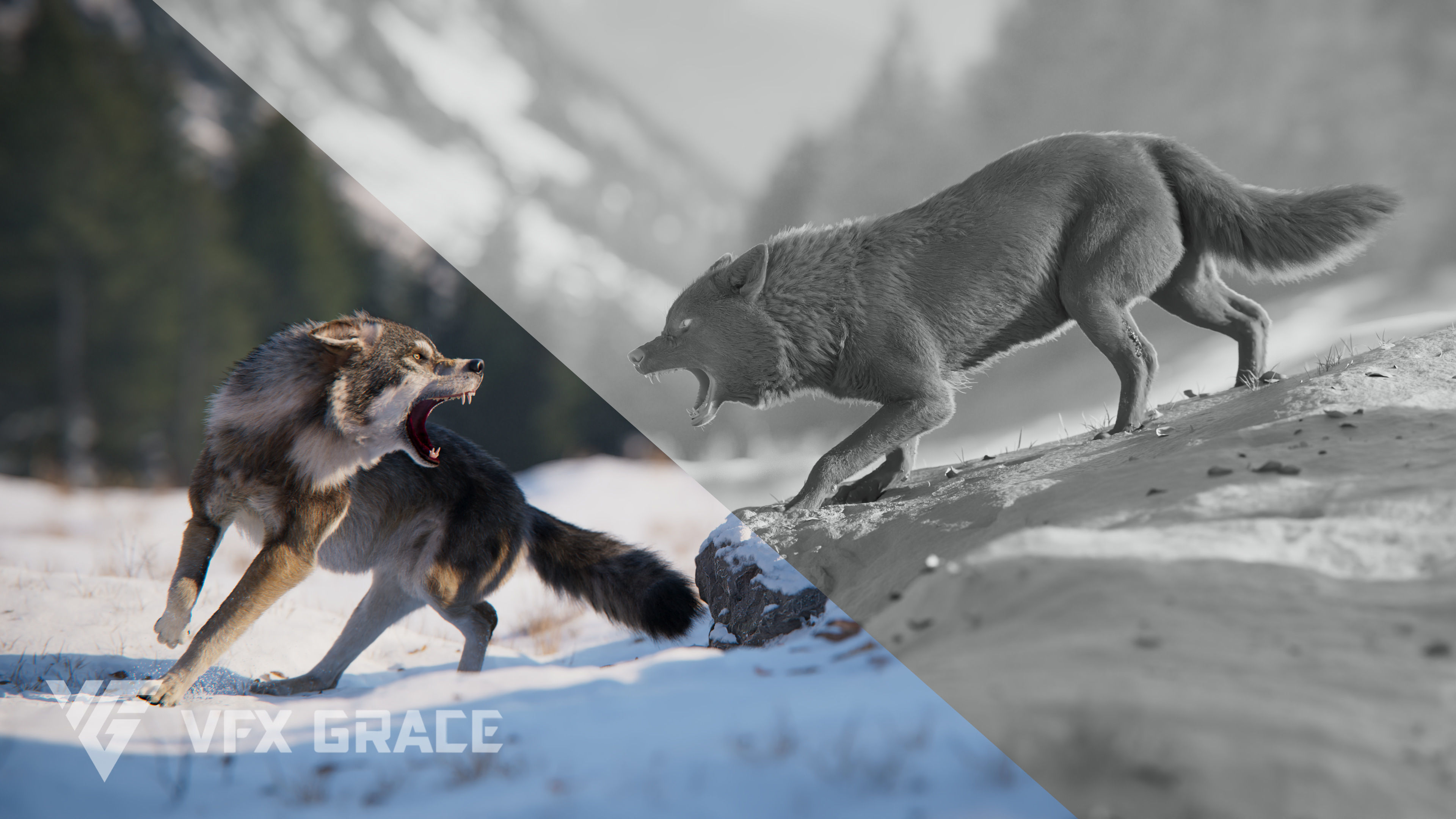 Wolf Animation VFX Grace 3D model_9
