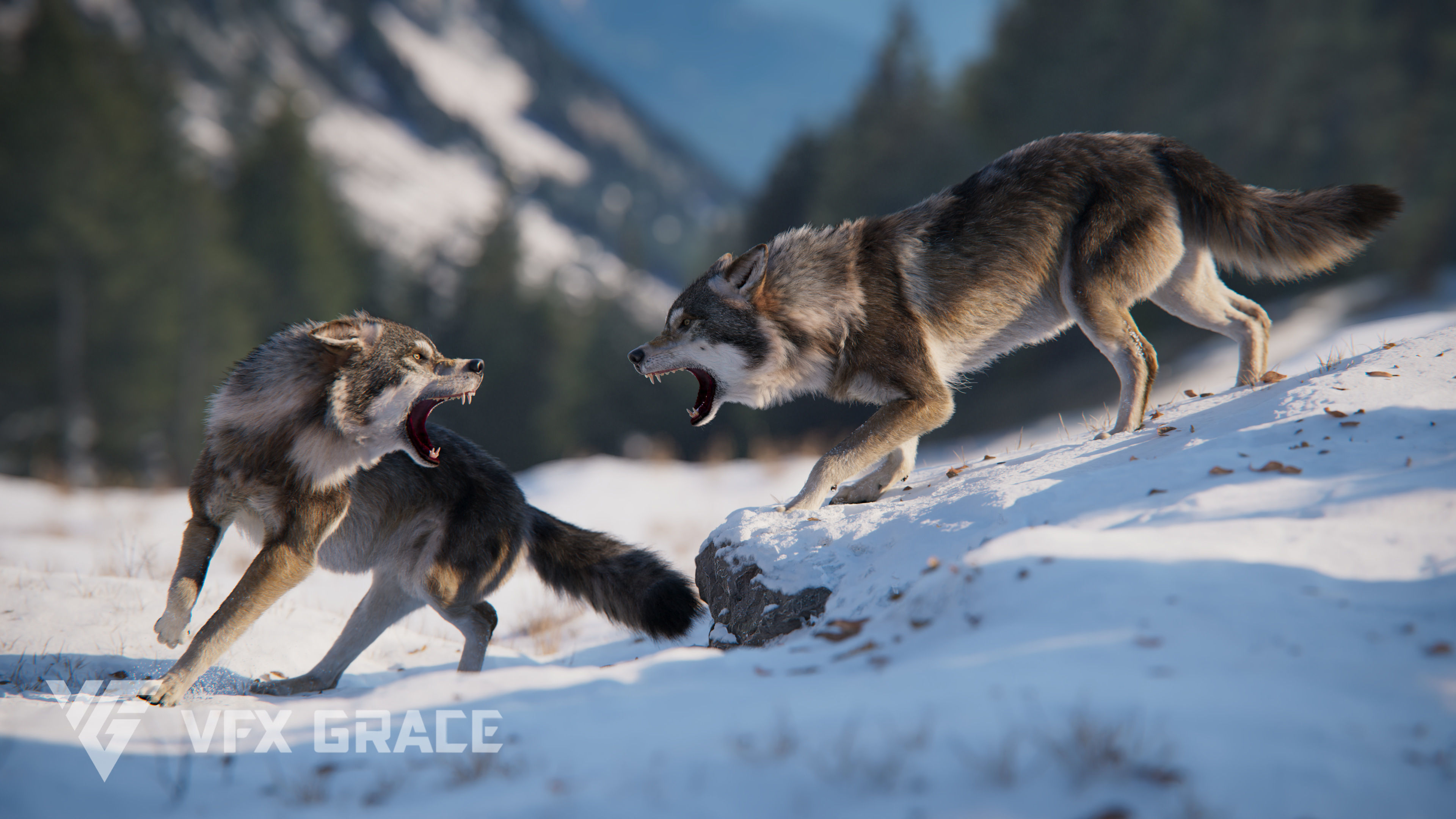 Wolf Animation VFX Grace 3D model_8