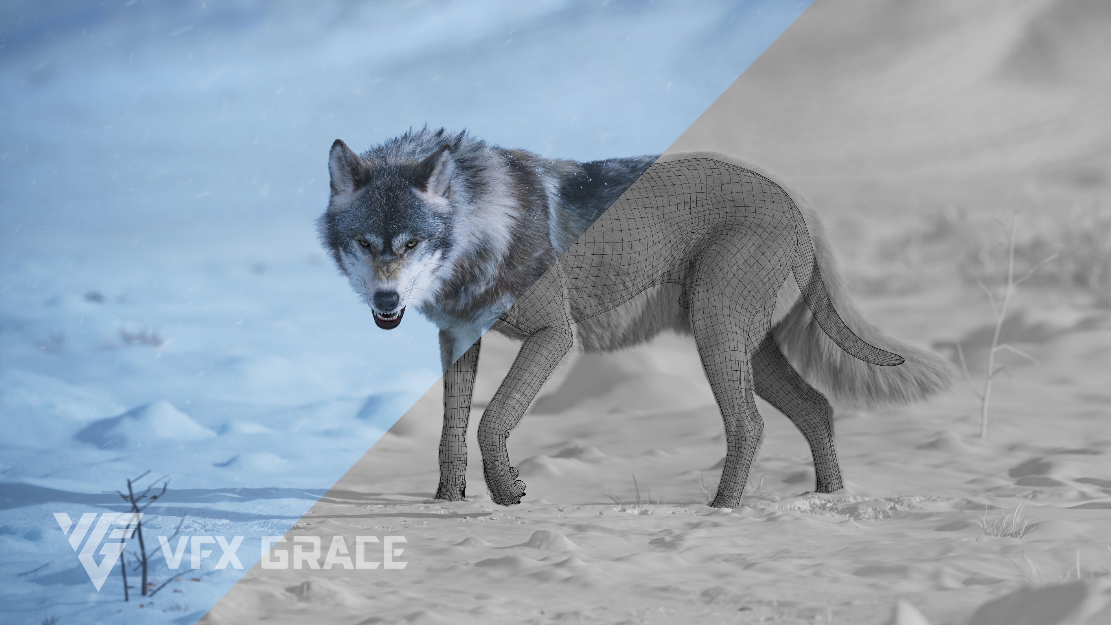 Wolf Animation VFX Grace 3D model_5