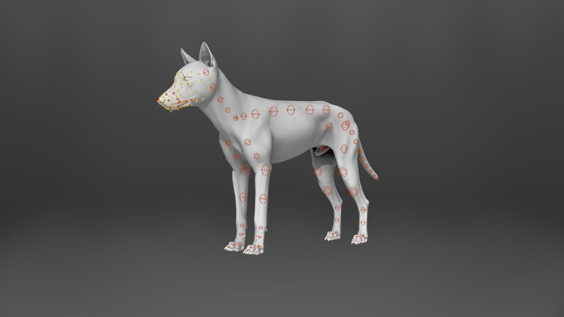 Wolf Animation VFX Grace 3D model_19