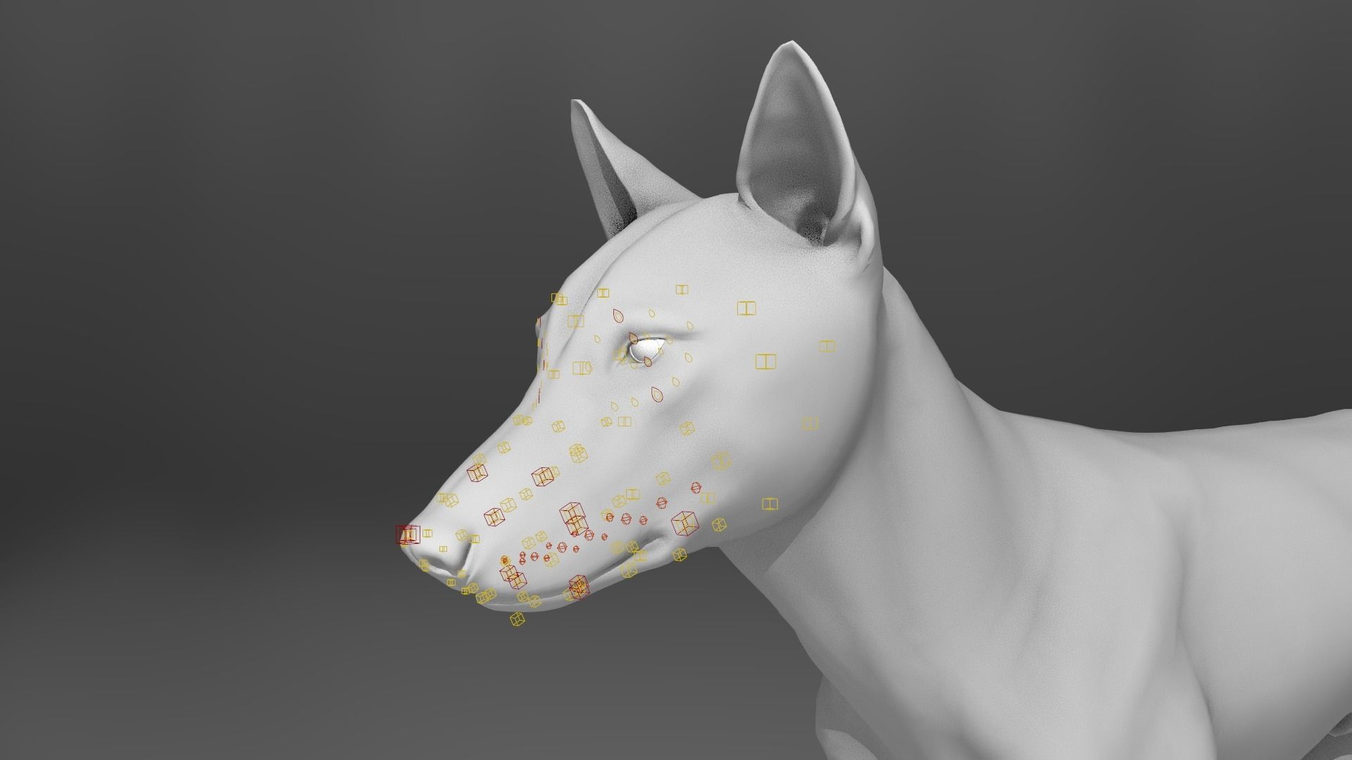 Wolf Animation VFX Grace 3D model_22