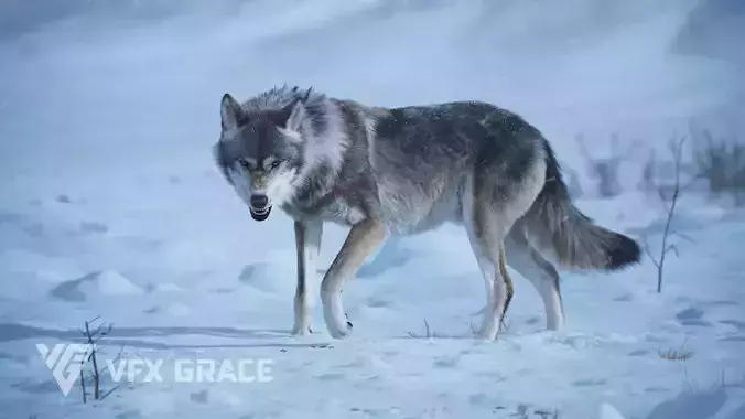 Wolf Animation VFX Grace 3D model
