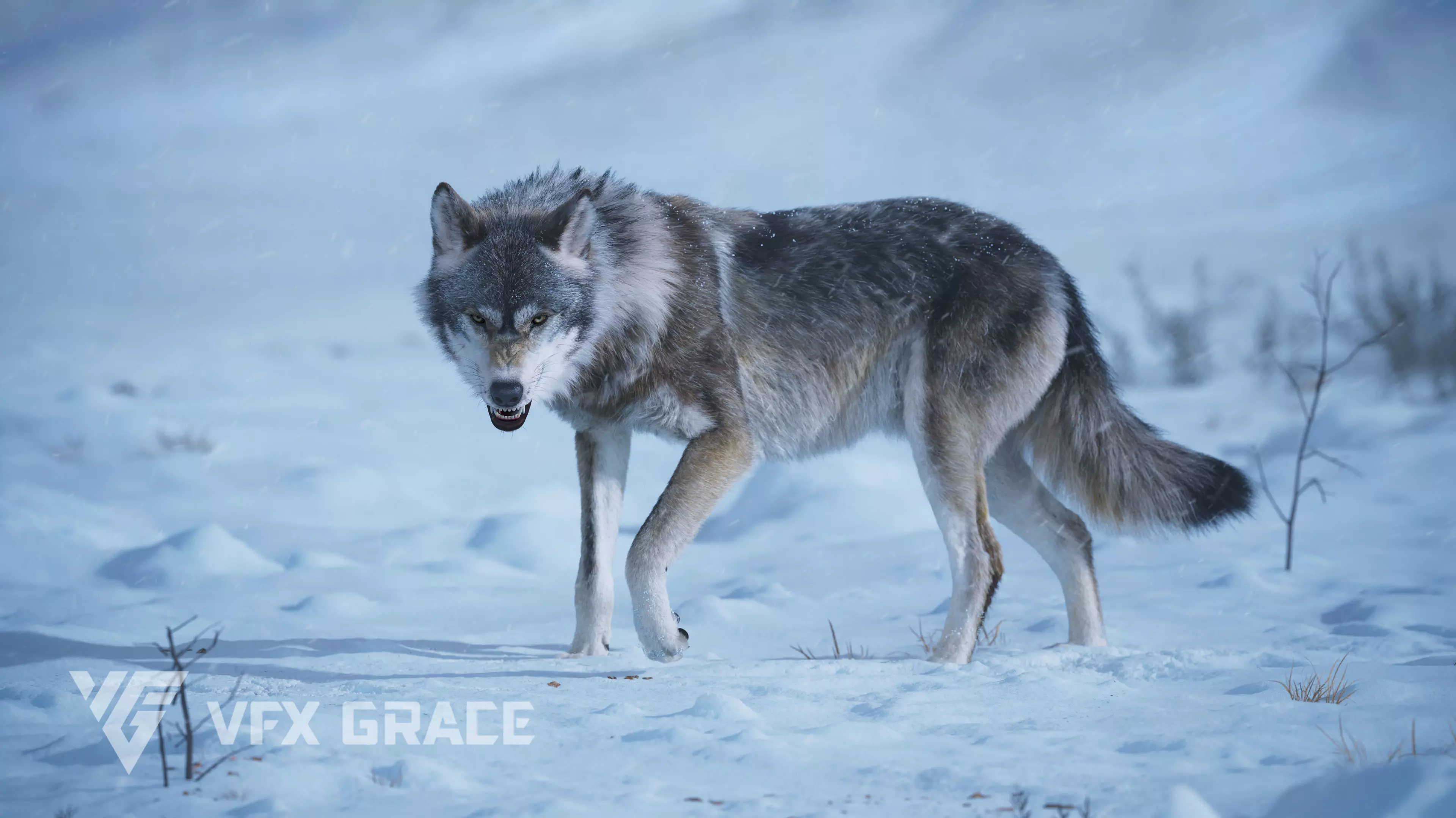 Wolf Animation VFX Grace 3D model_0