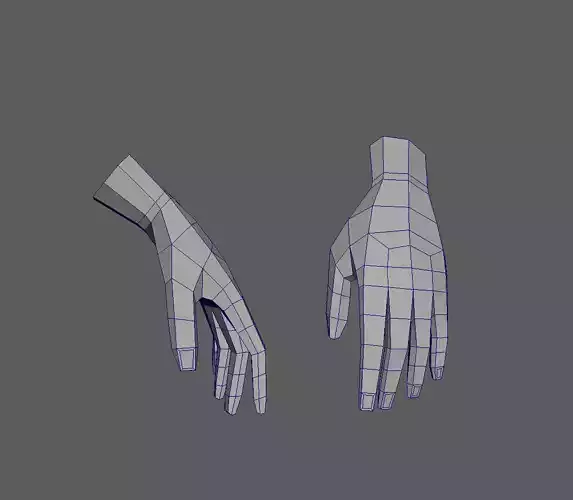 Hand Human Free 3D model