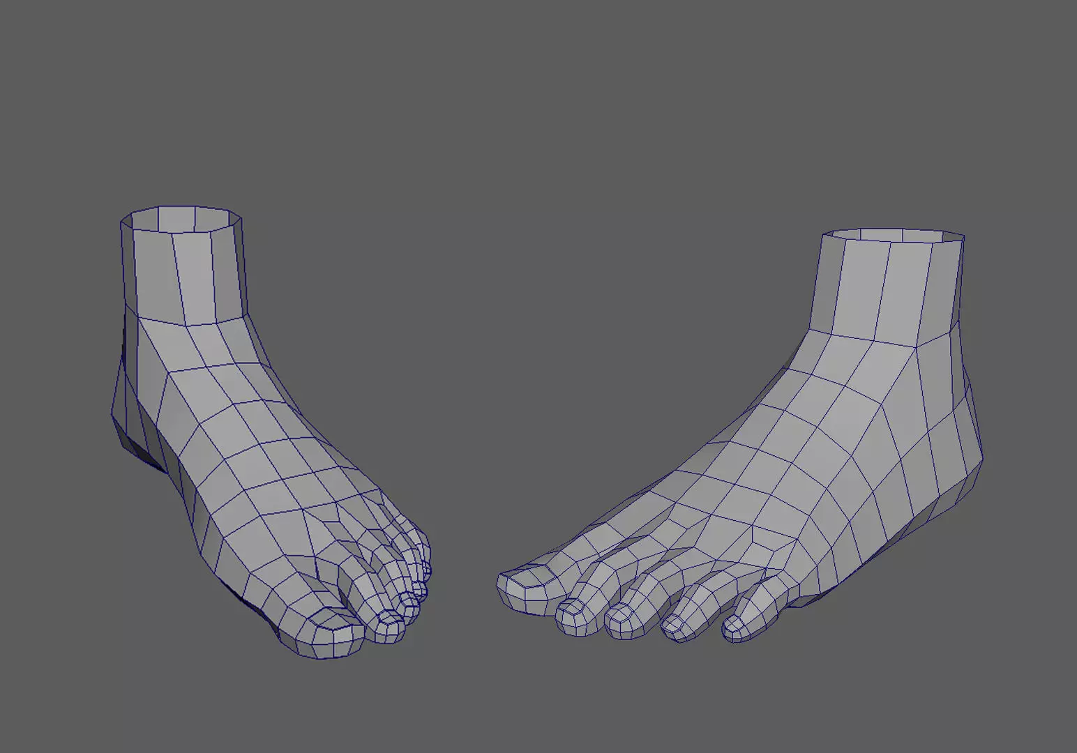 Foot Human Free 3D model_0