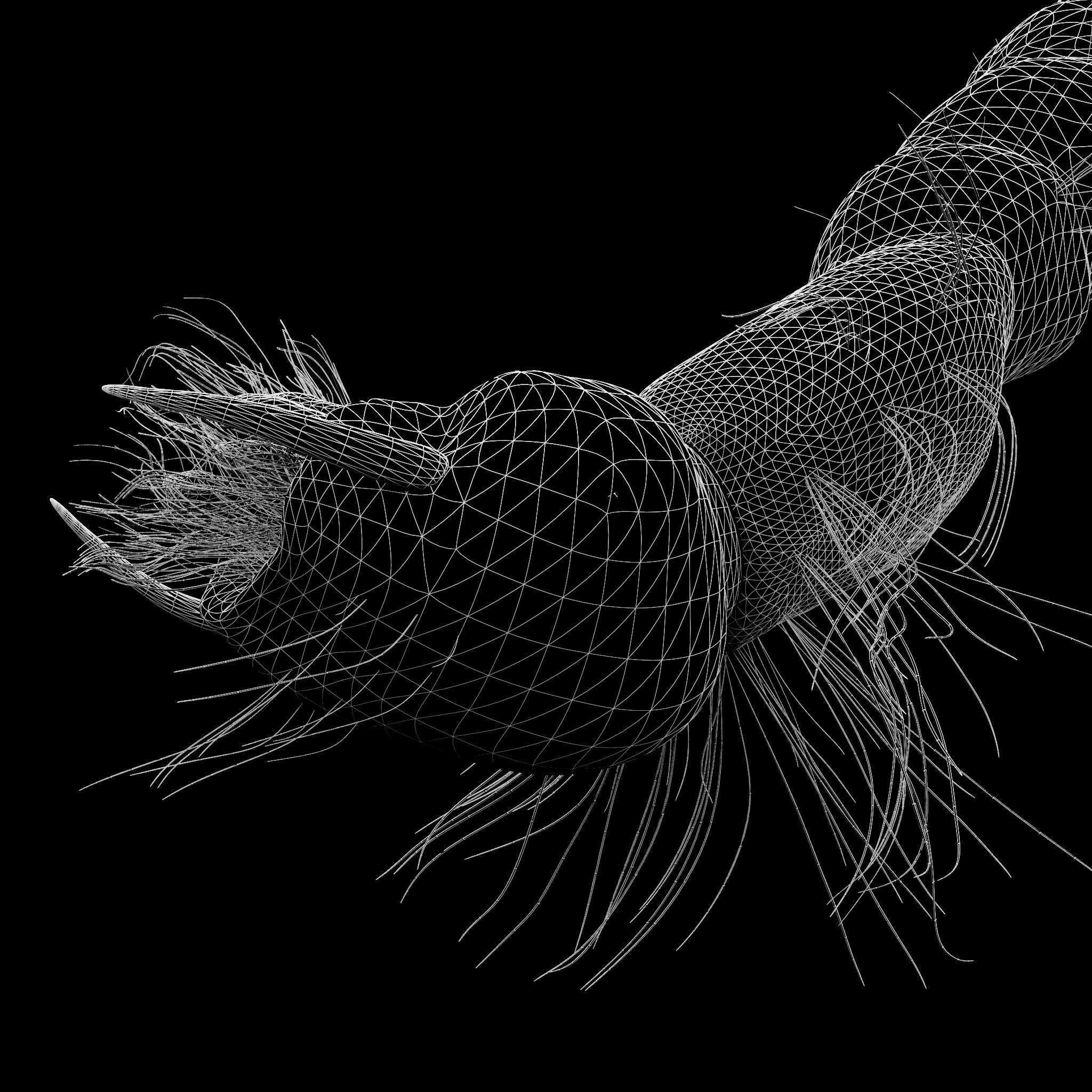 Mosquito larvae 3D model_7