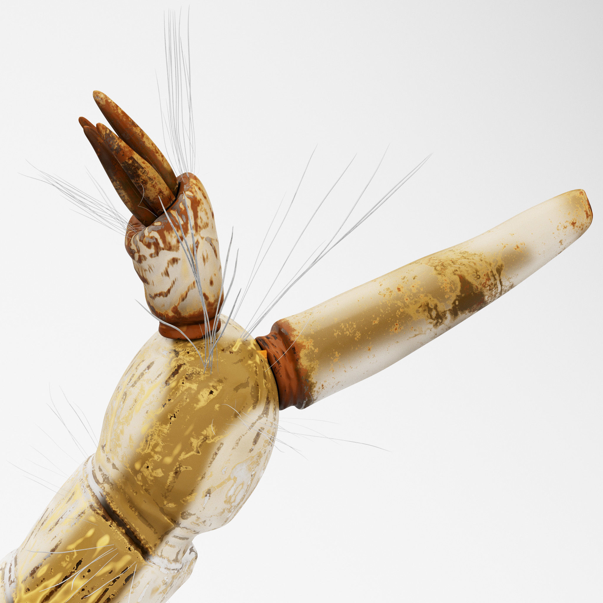 Mosquito larvae 3D model_4