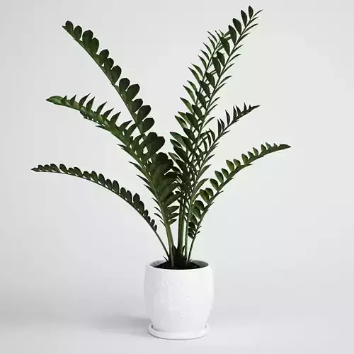 Potted Plant 02